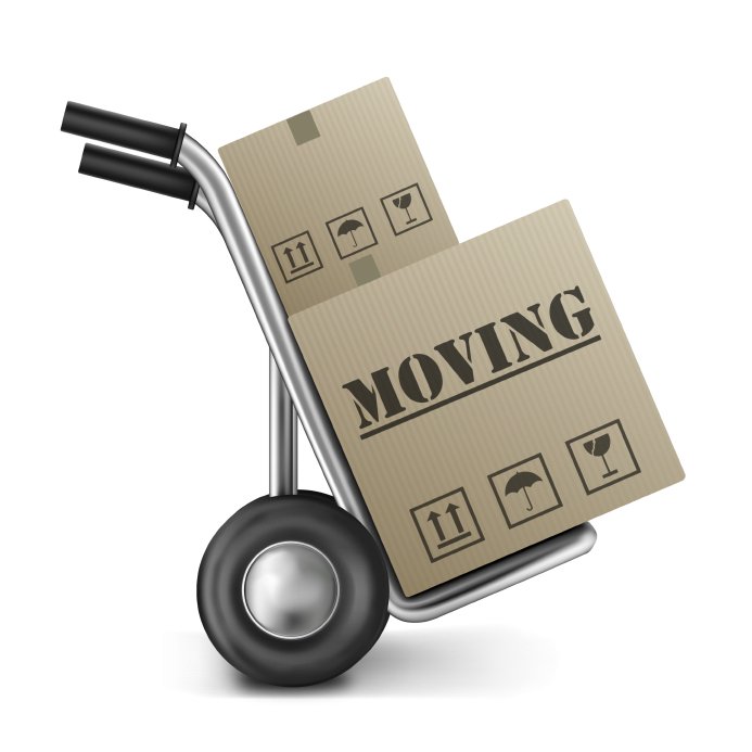 Moving-2-20-14.jpg